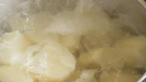 4 olyan dolog a konyhádból, amiről nem is gondolnád, hogy a legjobb tápanyagok a szobanövényeidnek!