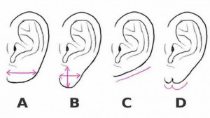 A fülcimpád elárulja, milyen vagy a szerelemben 