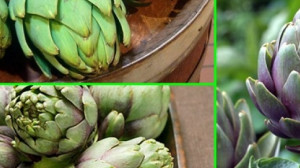 Ez a növény a máj elsőszámú gyógyítója!