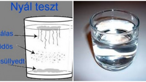 Egy nyálmintából Te magad megállapíthatod, hogy van-e a szervezetedben gombás fertőzés