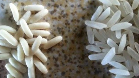 Kevesen tudják, hogy valójában mi igaz a műanyag rizsről szóló hírekből