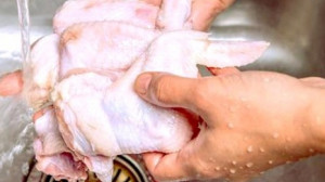 A hatóság figyelmezteti a lakosságot: Kerüljék a nyers csirkehús mosását!