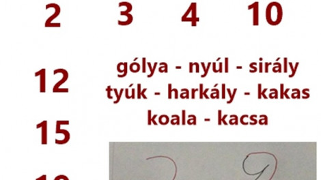 Számokból állatok! Ön is megtanulhat rajzolni!