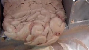 Tudtad, hogy ez a legnagyobb rákkeltő szer? NÉZD MEG A VIDEÓT IS ERRŐL!