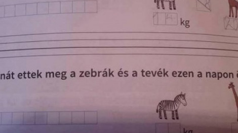 Ezt kapd ki! Másodikos matek könyv!